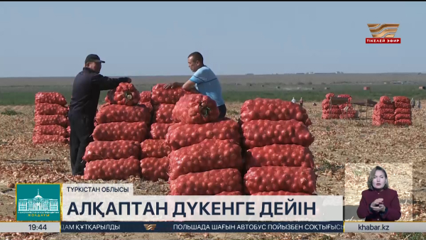 Түркістан облысында бақша өнімдерінің 90% жергілікті жерде өндіріледі