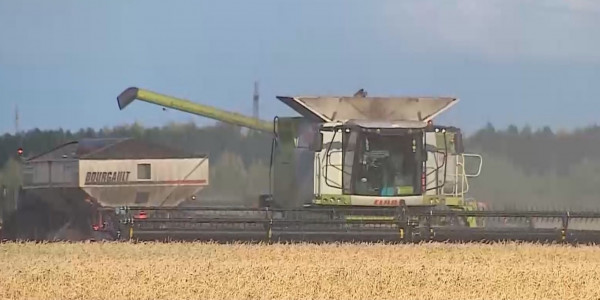 Елімізде астық экспорты тоқтап тұр