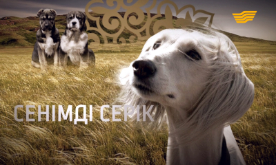 &laquo;Арнайы хабар&raquo;. Тазы мен төбет &ndash; сенімді серік