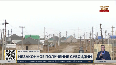 В Актюбинской области выявлены факты незаконного получения субсидий