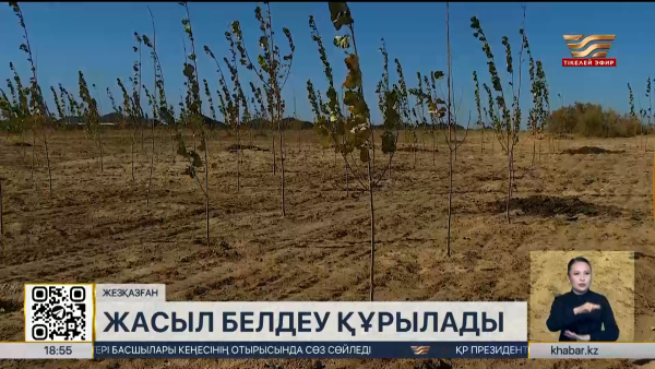 Жезқазғанда 21 гектарға 8 мың түп ағаш егіледі