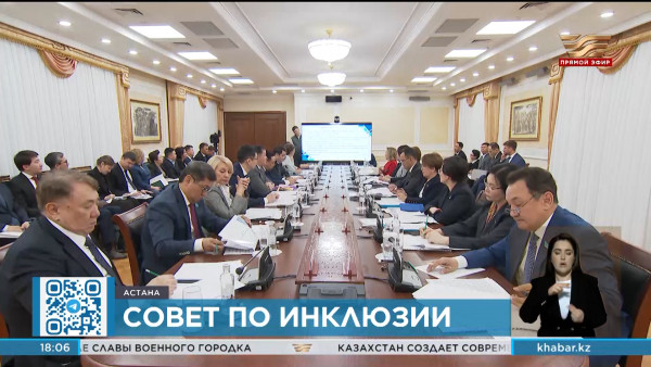 Проблемы реабилитации людей с инвалидностью обсудили на заседании Совета по инклюзии при Сенате