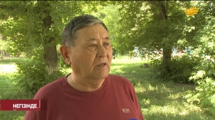 &laquo;Негізінде...&raquo;. Бағдарлама