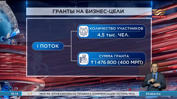 Выдача грантов для реализации бизнес-идей начнется с 20 мая