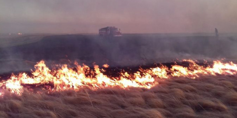 Степные пожары бушуют в Карагандинской области