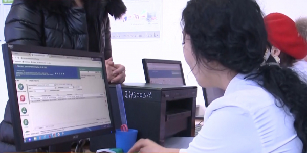 Статус &laquo;застрахован&raquo; получили 99% сельчан Кызылординской области