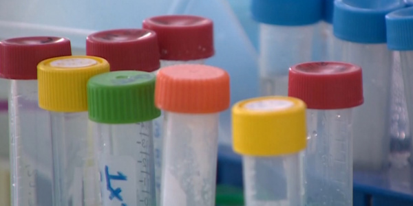 Эксперт опроверг информацию о переболевших казахстанцев COVID-19