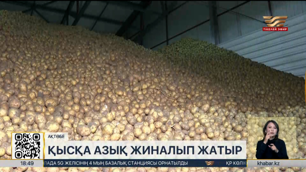 Ақтөбеде тұрақтандыру қорына 12 мың тоннаға жуық өнім жиналады