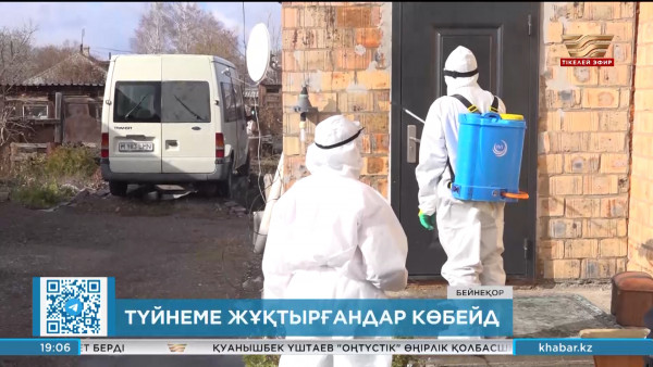Түйнеме ауруын жұқтырғандар 38 жетті