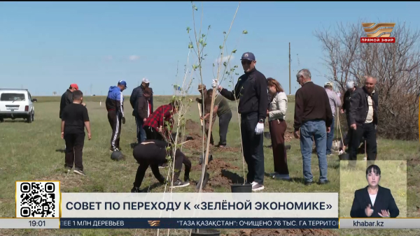 Более 1 млн деревьев высадили с начала года в РК