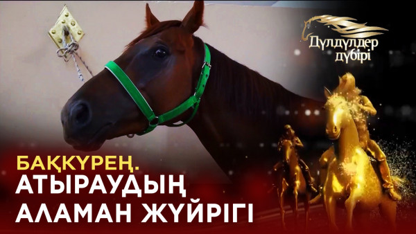 Бақкүрең. Атыраудың аламан жүйрігі. &laquo;Дүлдүлдер дүбірі&raquo;