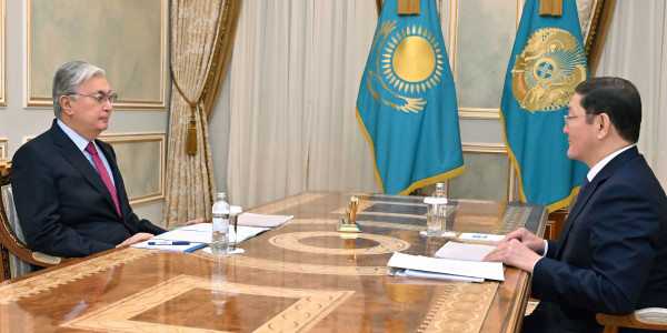 Глава государства принял Генерального прокурора Берика Асылова