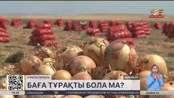 Бағаны ұстап тұру үшін аймақтардағы тұрақтандыру қорларынан өнімдер алу басталды