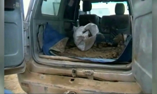 Кызылординские полицейские задержали внедорожник с тушами сайгаков