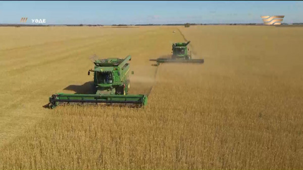 Ақмола облысындағы  Ақкөл ауданында жайылымдық жер тапшы. &laquo;Уәде&raquo;