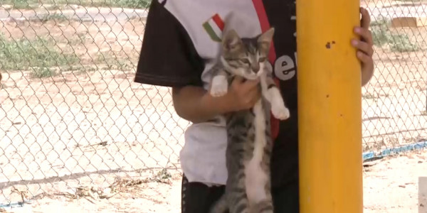 В Кызылорде с начала года заметно выросло число случаев дерматомикоза &ndash; эпидемиологи