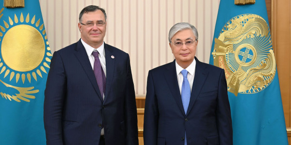 Глава государства встретился с президентом компании Total Energies