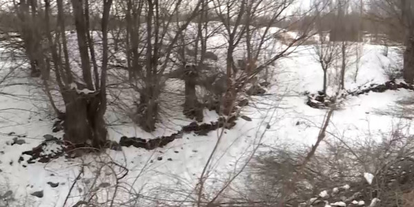 Подготовка поливных каналов к весенне-полевым работам началась в Жетысу