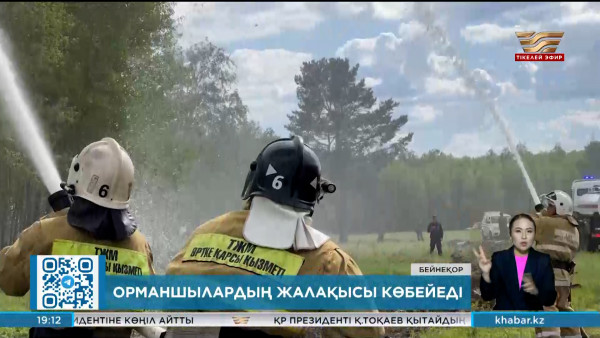 Қазақстанда орманшылардың жалақысы көбейеді