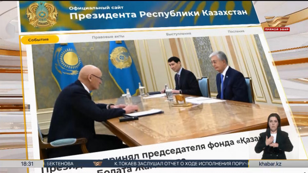 Президент принял председателя фонда &laquo;Қазақстан халқына&raquo;