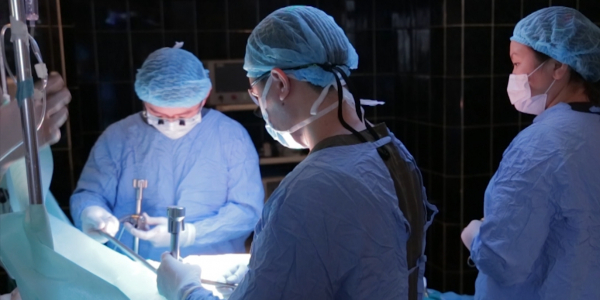 Желудочно-кишечный тракт. &laquo;Спасаем жизни&raquo;