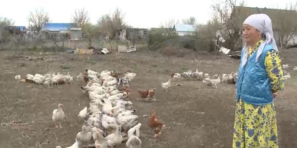 Жители Актюбинской области подали заявки на участие в &laquo;Ауыл аманаты&raquo;