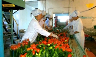 &laquo;Продвопрос&raquo;. Поддержка фермеров в конкурентной борьбе, наращиваем молочное производство, разработка кормовых дабавок, капкейки с семгой от Турала Эвереста.