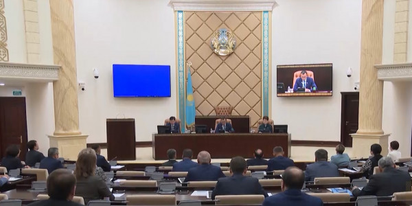 Меры реализации послания Президента обсудили в Сенате