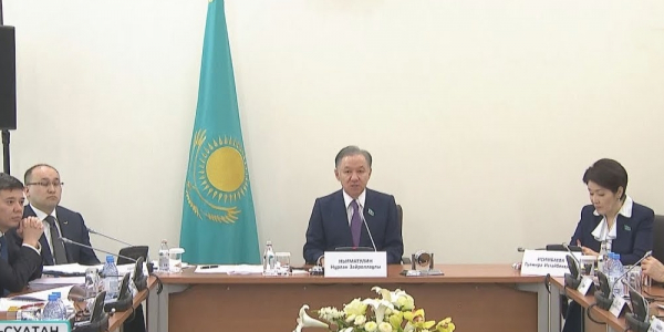 Депутаты и общественники обсудили проект закона о мирных собраниях в Нур-Султане