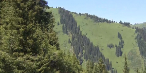 Больше 8 лет алматинцы противились строительству курорта на Кок-Жайлау