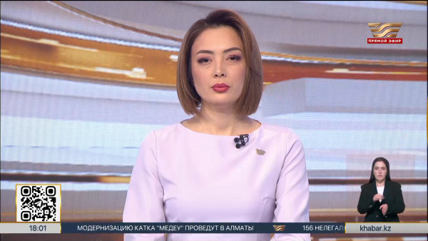 Подозреваемую в хищении денег казахстанку задержали в Бишкеке