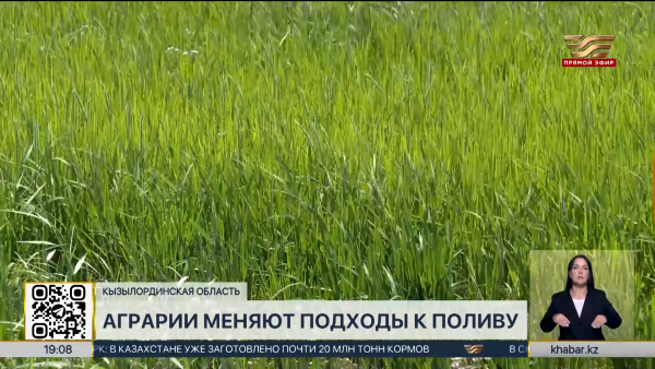 Аграрии меняют подходы к поливу в Кызылординской области