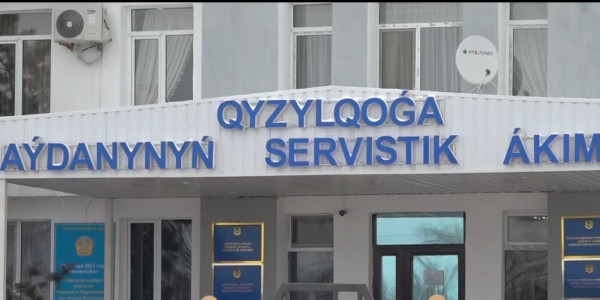 Выборы акимов повысят доверие казахстанцев к госинститутам &mdash; Ж. Кыдыралина