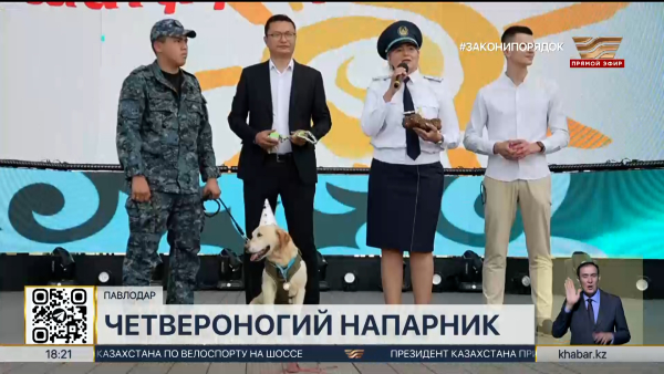 Необычное мероприятие состоялось на набережной Павлодара