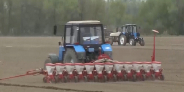 Посевная площадь под сельхозкультуры увеличена в Алматинской области