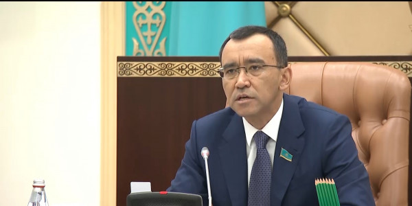 Мәулен Әшімбаев: Ел қалауын іске асыру қажет