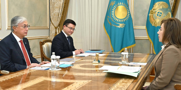 Глава государства принял председателя Агентства по регулированию и развитию финансового рынка