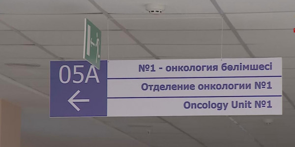 Елімізде жыл сайын 600 балаға қатерлі ісік диагнозы қойылады
