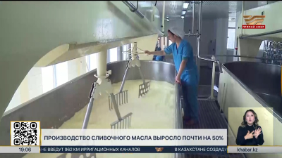 Почти на 50% выросло производство сливочного масла в РК
