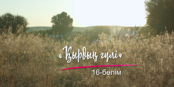 &laquo;Шашу&raquo;. &laquo;Қырдың гүлі&raquo; 16-бөлім