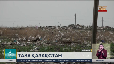 Елде қалдықтарды сұрыптау және өңдеу бойынша 67 жоба мақұлданды