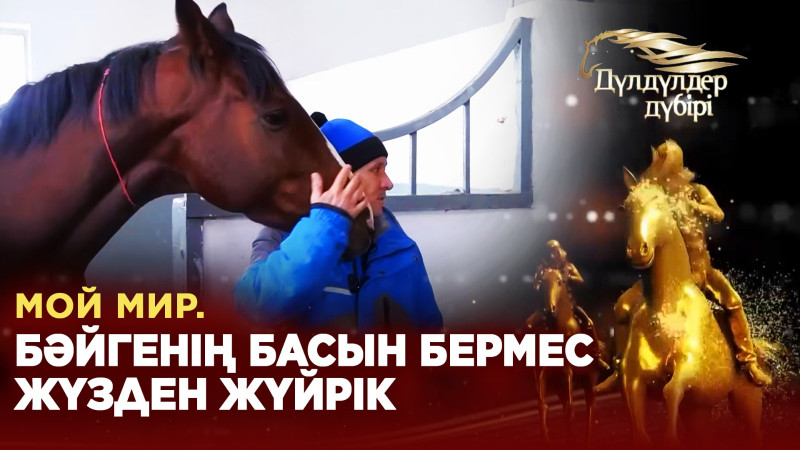 Мой мир. Бәйгенің басын бермес жүзден жүйрік. «Дүлдүлдер дүбірі»