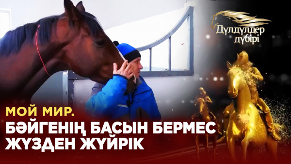 Мой мир. Бәйгенің басын бермес жүзден жүйрік. &laquo;Дүлдүлдер дүбірі&raquo;