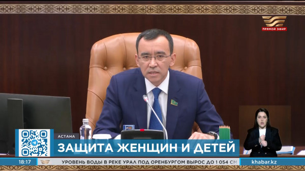 Сенат принял закон о семейно-бытовом насилии