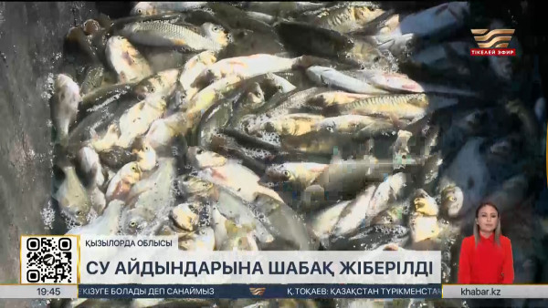 Қызылорда облысында балық шабақтары құтқарылып жатыр