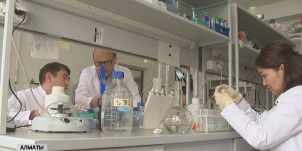 ДДСҰ дабыл қаққан дерттің емін отандық ғалымдар жасап шықты
