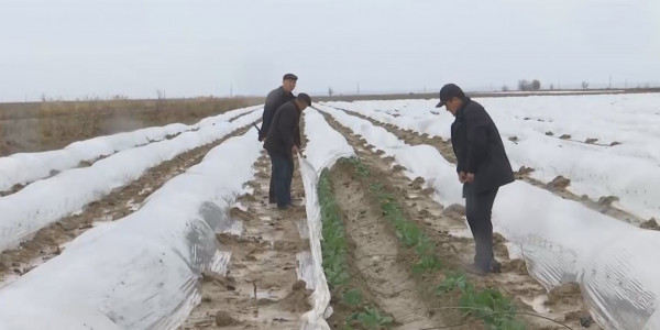 Тыңайтқыш бағасы шарықтап кетті