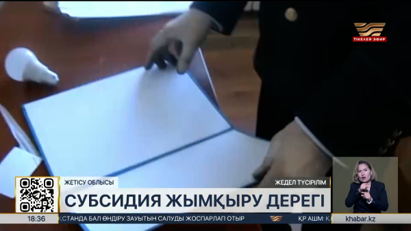 Жетісу облысында кәсіпкер субсидия қаражатын қолды қылған