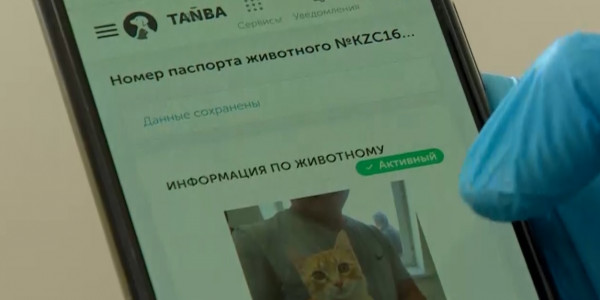 1 қыркүйектен бастап ит пен мысықты тіркеу міндеттеледі