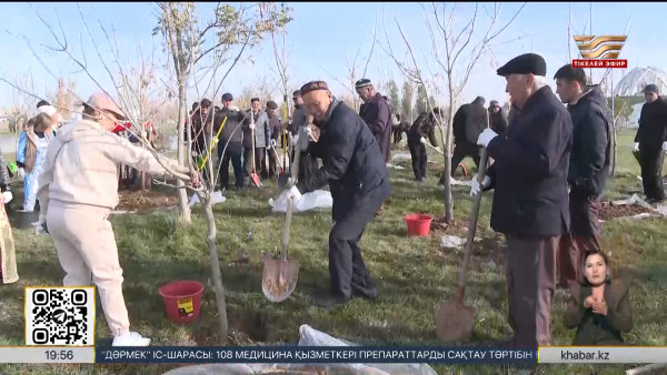 &laquo;Таза Қазақстан&raquo;: Түркістанда 5 мың түп көшет отырғызылды